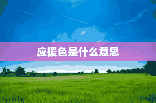 应援色是什么意思